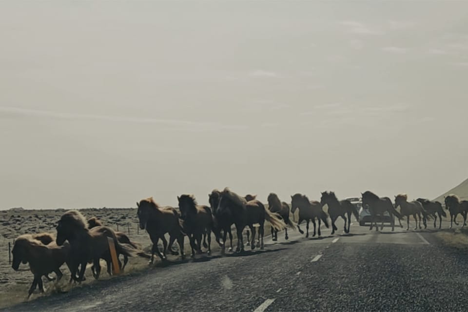 On finding urban silence, aka., "may all those who honk have a safe ride home..."